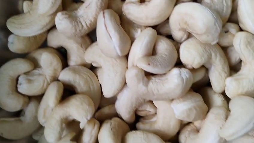 cashew-nuts-india-export-wholesale