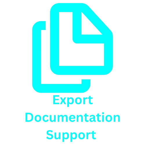 Export documentation support including invoices and shipping documents from India