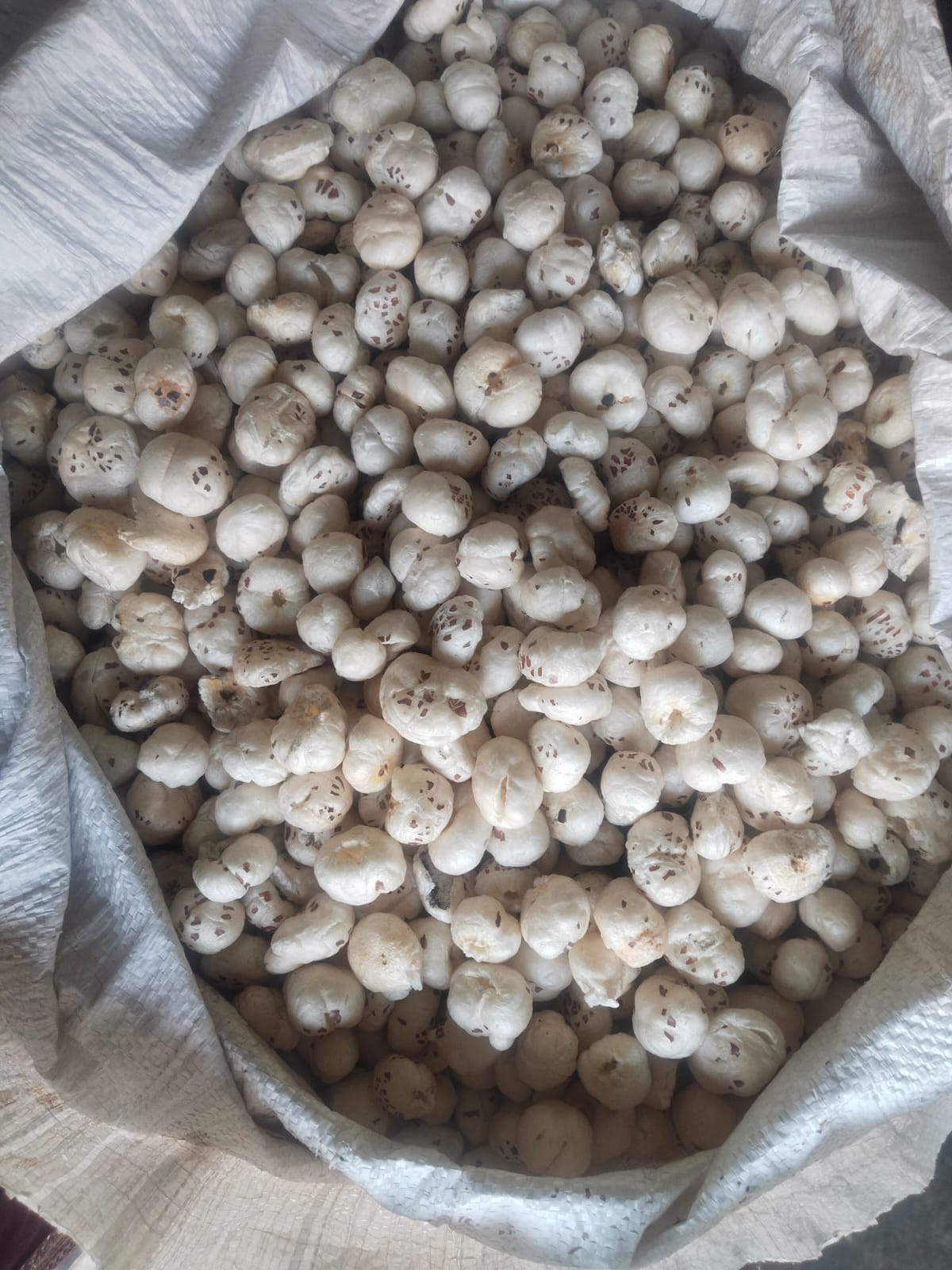 makhana-fox-nuts-lotus-seeds-india-export