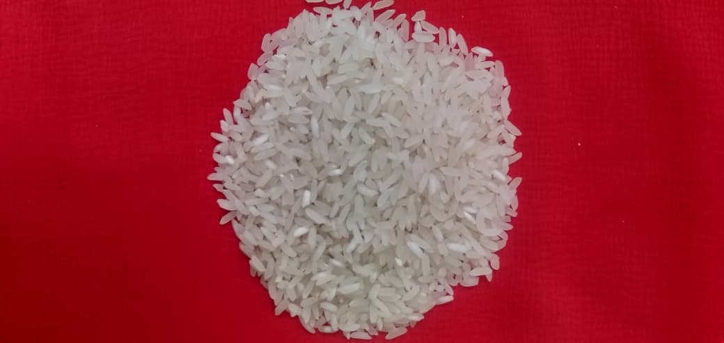 non-basmati-rice-india-export-supplier