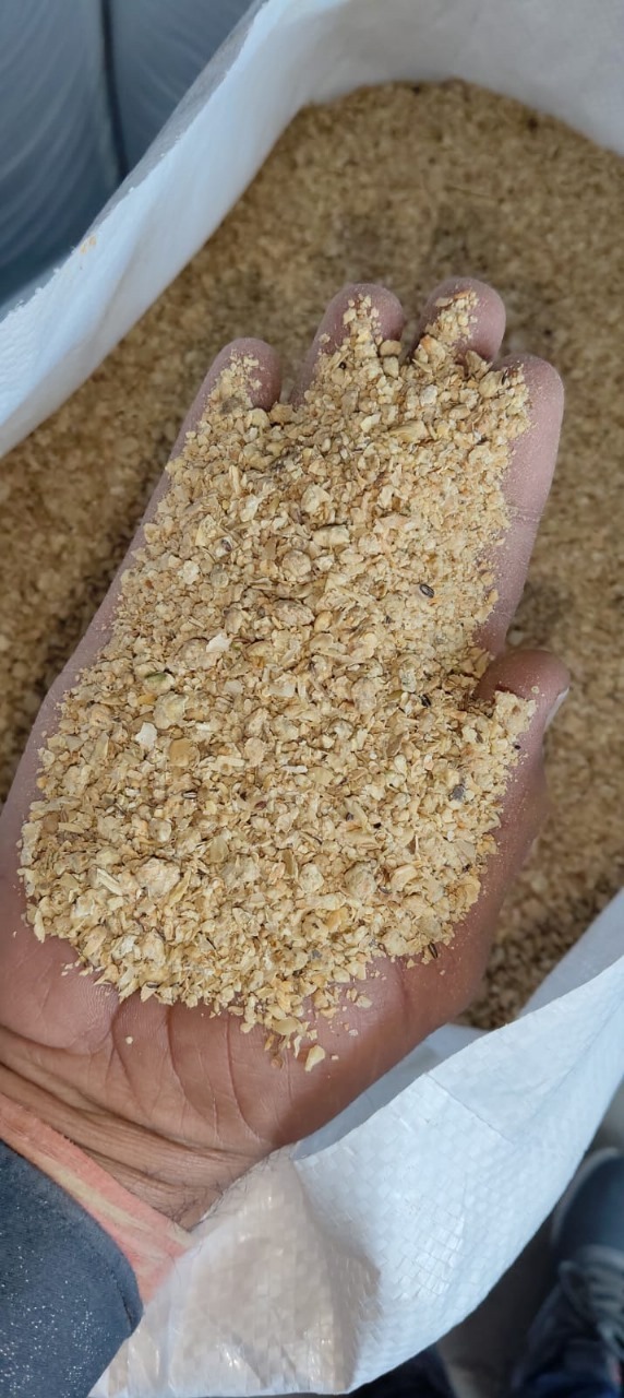 soybean-india-export-supplier