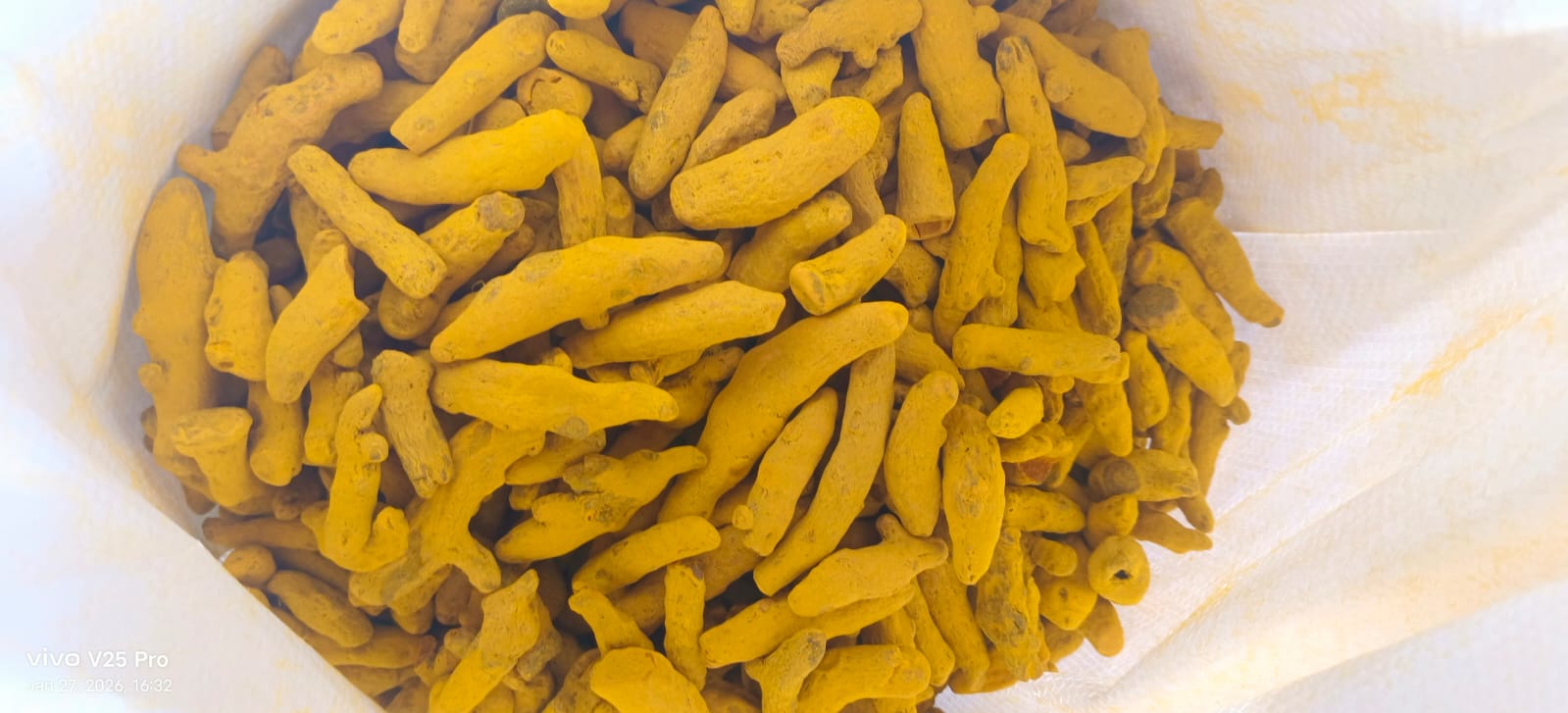High-quality turmeric from India for export