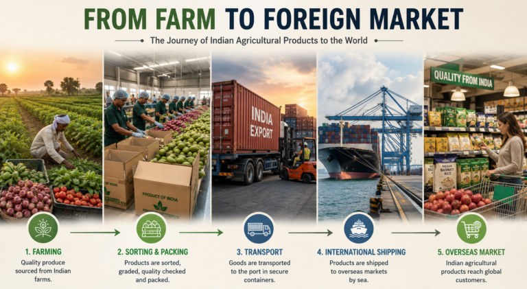From Farm to Foreign Market: How Agricultural Products Are Exported