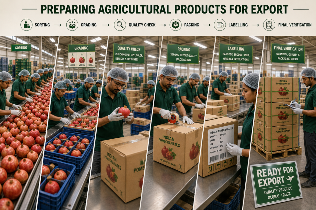 From Farm to Foreign Market: How Agricultural Products Are Exported
